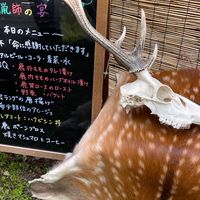 チーム星くらズ　狩猟免許（わな）試験合格から、実際に「わな」の架設方法などを学ぶ部屋　関西　奈良