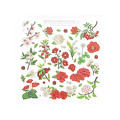 PET透明塑料貼無刀模裁割線同款四大張入自行裁剪形狀