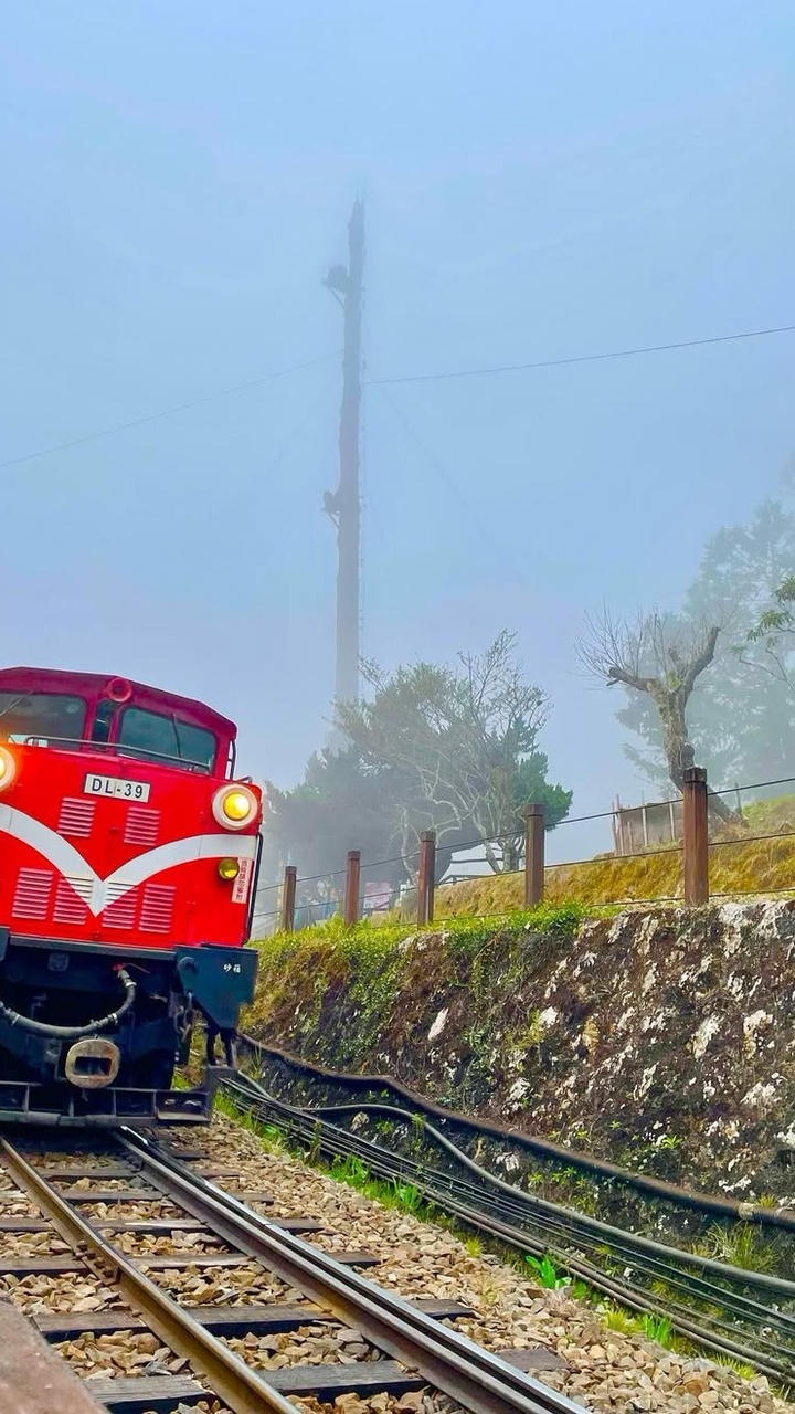 黛麗館 - 共享茶香
