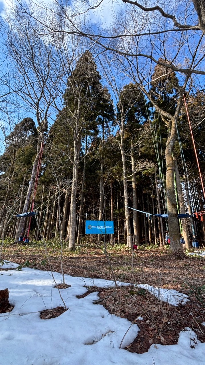 ツリークライミング®︎チームひととき情報発信チャット