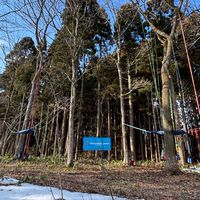 ツリークライミング®︎チームひととき情報発信チャット
