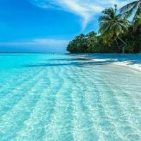 ทะเลมัลดีฟส์🏝️