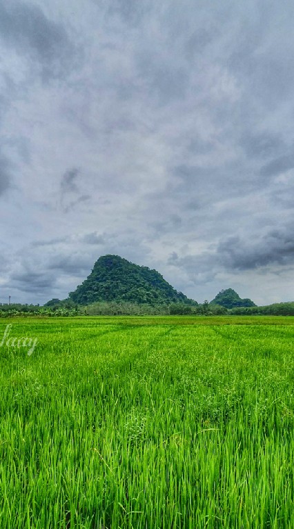ข่าวสารลูกค้า ธ.ก.ส. ตำบลโตนดด้วน