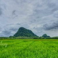 ข่าวสารลูกค้า ธ.ก.ส. ตำบลโตนดด้วน