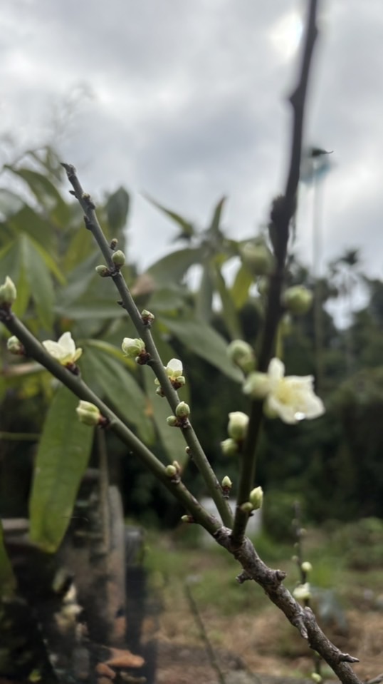 1314好朋友活動中心