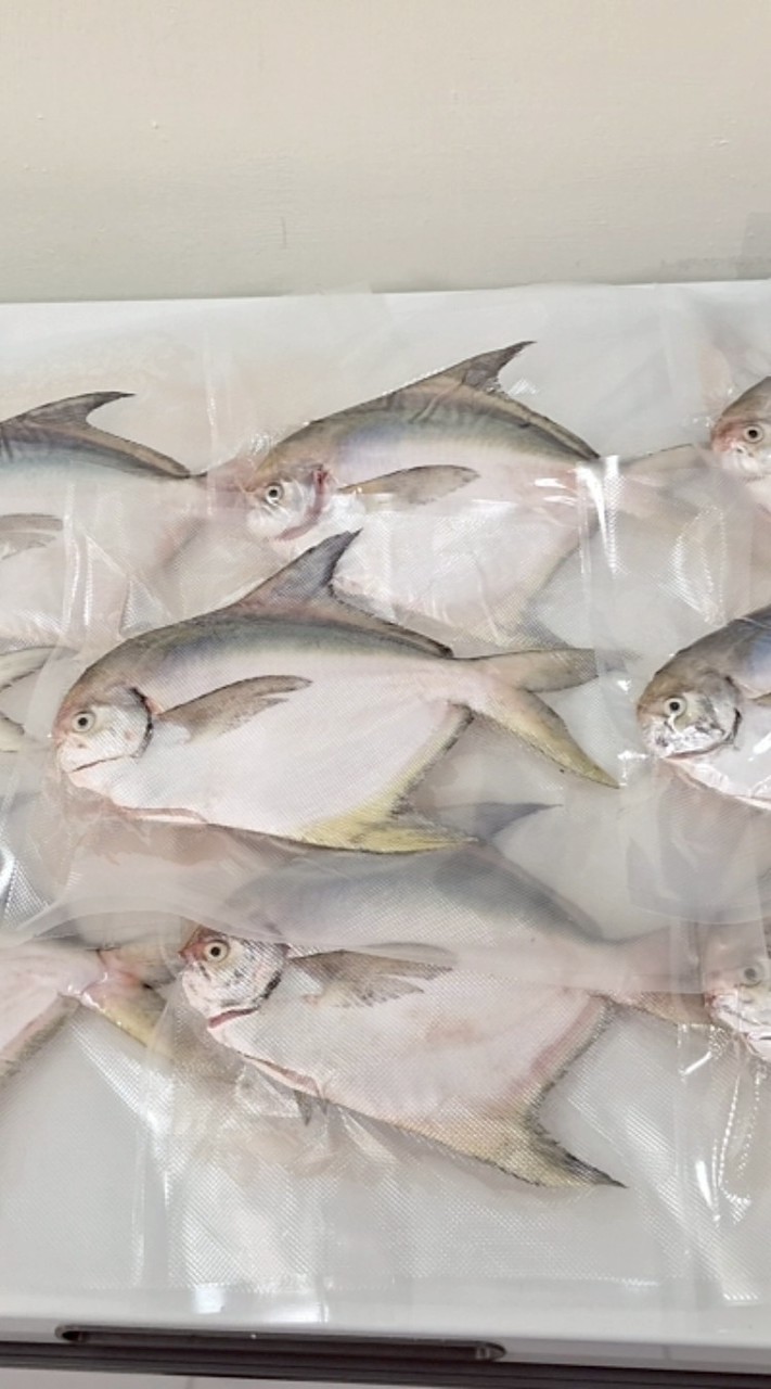 魚棧-野生海魚＆冷凍海鮮專賣