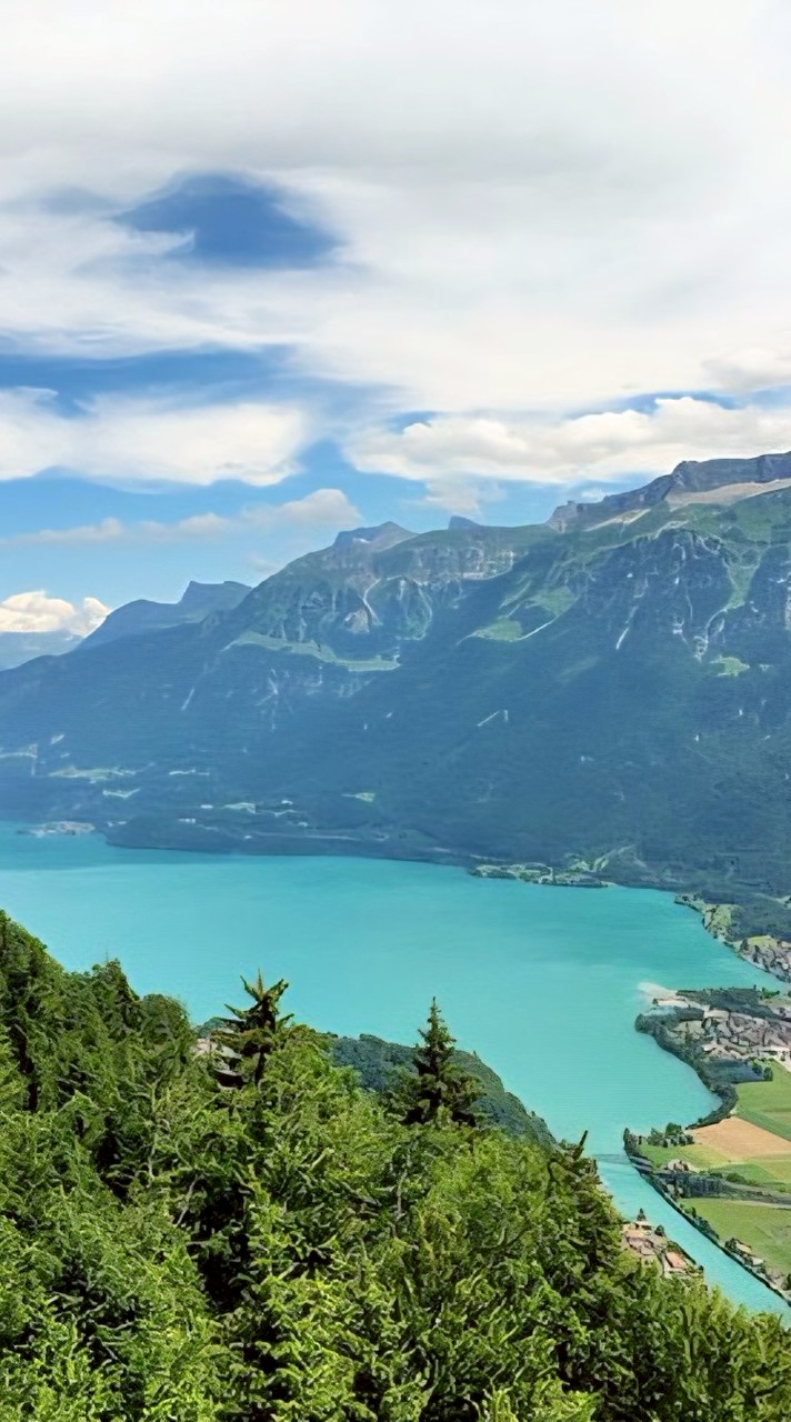 กลุ่มชอบ Switzerland