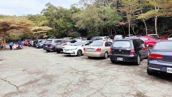 【彰化景點】大山休閒牧場-免門票費免停車費，還有餵牛喝奶、吃草等超多好玩的親子農場