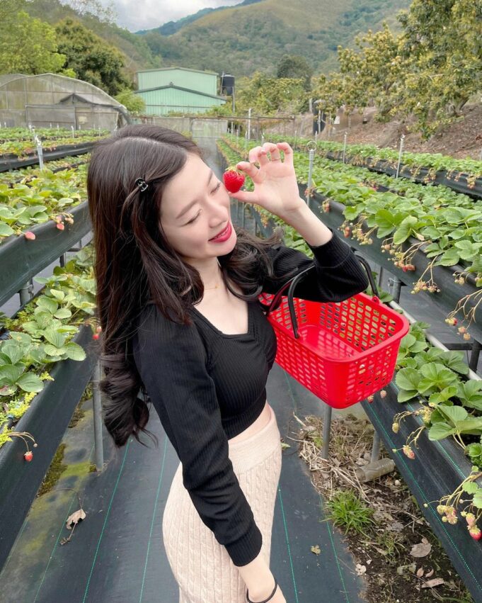 關山景點 關山一日遊 關山親山農園