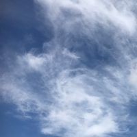 エバテ79鯖【ワイガヤ】