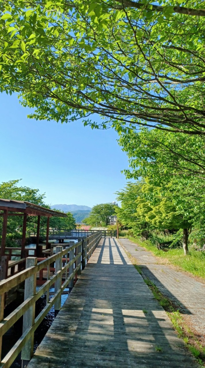 談話室🏡自然の散歩道