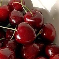 𝄒  ֺ͏͏͏🍒 ⳱ ❨ ᷂𝗗Ɐ𝗥 ༙͞𝗟𝗜𝐍𝗚  𝗥𝐎𝗟Ǝ ִ͞𝗣𝗟𝕬𝗬  ❳᷅𐭃 ۡ࣫𝁬