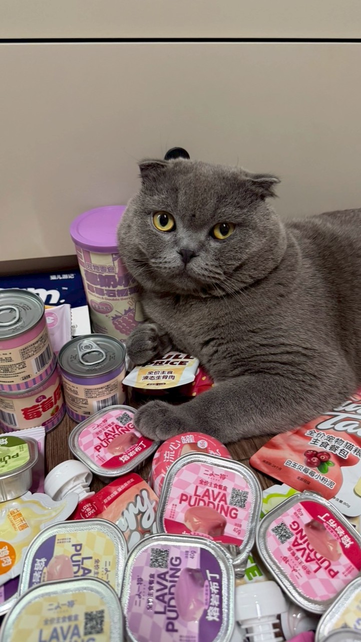 Fuyu Choose! พรีออเดอร์อาหารแมว🐈‍⬛