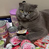 Fuyu Choose! พรีออเดอร์อาหารแมว🐈‍⬛