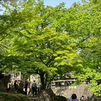 ケアを社会のまん中に(杉並)