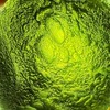 星語閣隕石工作室 （捷克隕石、隕石、天鐵）