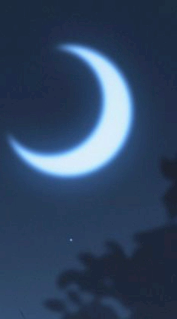 福星高照