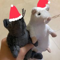 🅻︎🆃︎幼保抱怨小圈圈