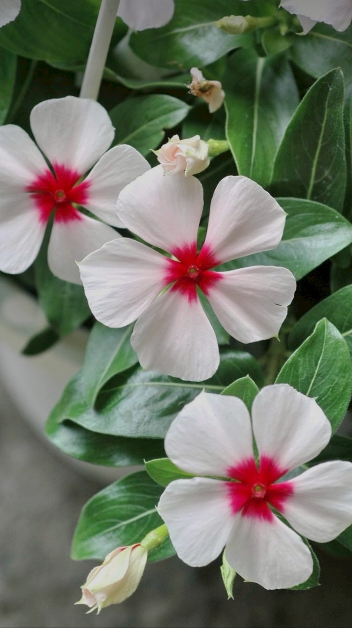 型男7館「店長Aileen」「淑雯❤️」「專屬預約表」