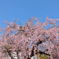 🍒【東京近郊 大人の友達作り 】40/50/60代🍊 ランチ🍞、昼・夜飲み🍻、スイーツ🍰を楽しむ会