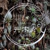 🌱艸木青・空氣鳳梨 Grass Wood Tillandsia 🌿