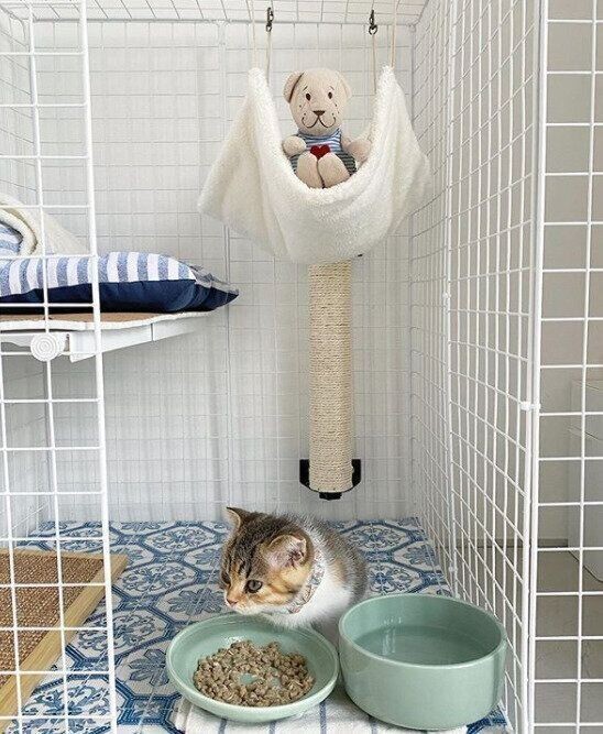 100均のワイヤーネットで 豪華 猫用ケージ が
