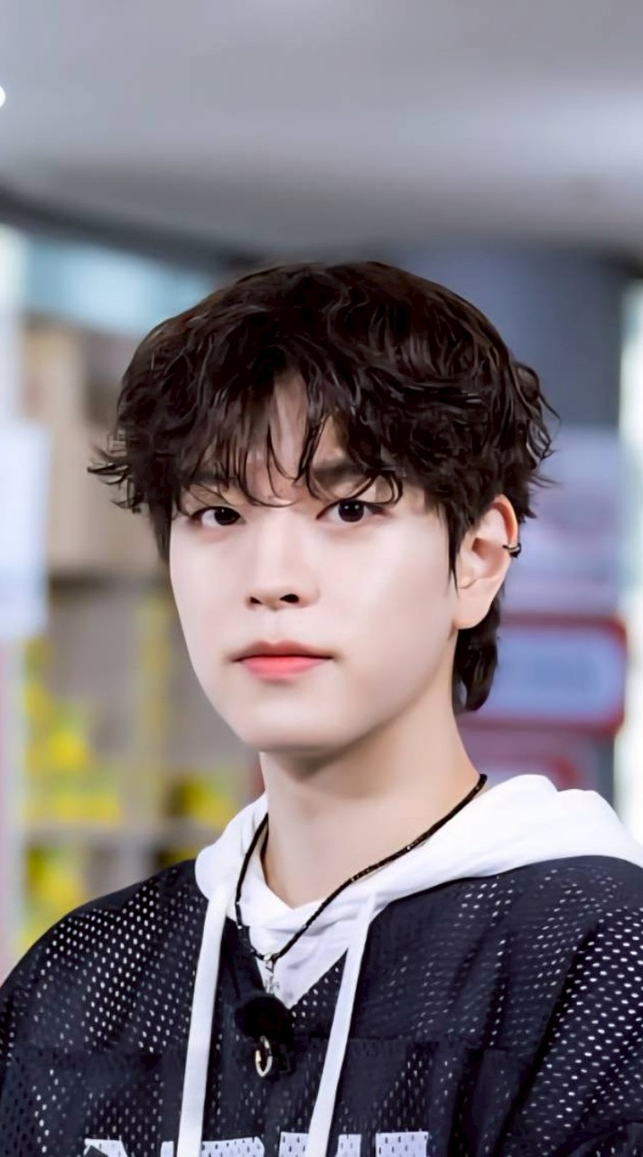 🍁☁️K-pop容易迷路的小森林🌱-免宣拐