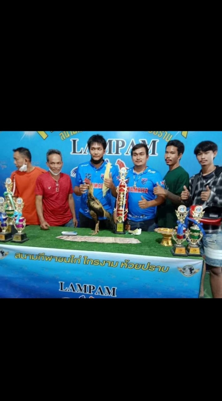ซุ้ม ดีดีวินฟาร์ม (เชิงทุบหลัง)(พม่าแข้งคม)