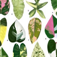 Nori garden by แม่รี🌱