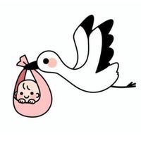 たまひよ2023.12月 近畿エリア