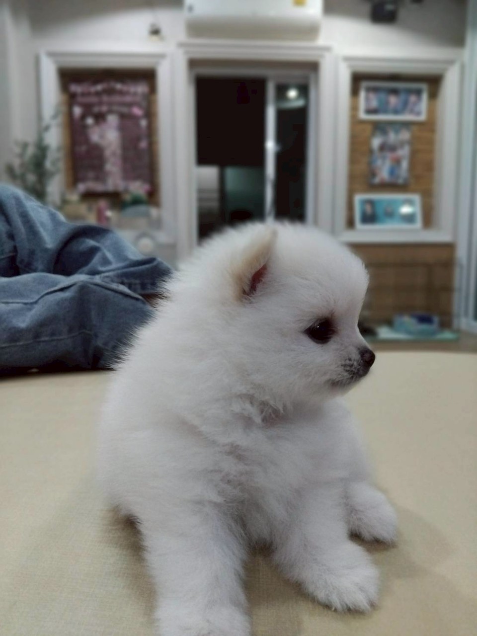 หาเพี่อนเล่นเกม