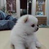 หาเพี่อนเล่นเกม