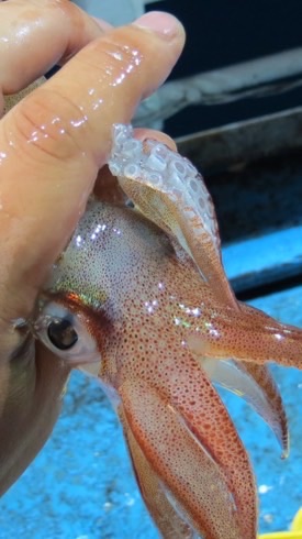 從漁到人｜八斗子食魚・共學・共好生活