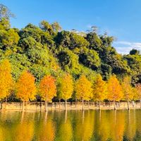 管管辦公室