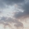 春の暖かさは心に響かず。≪≫BSD 壁打ち