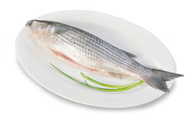 烏頭滿布白色 腫瘤 疑生癌或惹寄生蟲網民睇到密集恐懼 On Cc 東網 Line Today