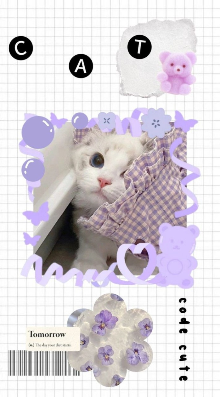 ทาสน้อนแมว 🐱