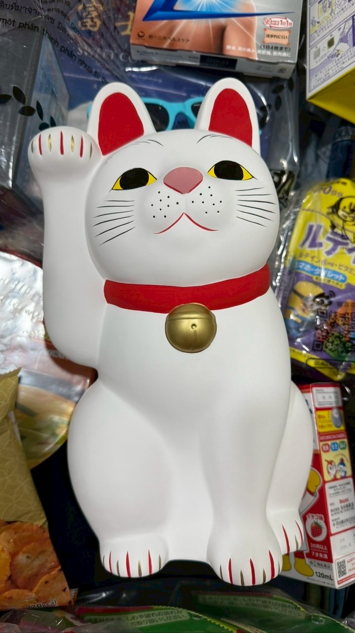 咪零x酷波日本🇯🇵代購
