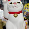 咪零x酷波日本🇯🇵代購
