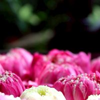 นศ.ทุนจุมภฏ-พันธุ์ทิพย์