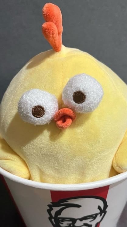 色んなことするよ