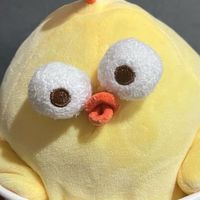 色んなことするよ