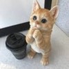 きょーた会長きょーた社長きょーた先生フラゲチャットみなさんお疲れ様です