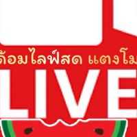 ไลฟ์สดแตงโม🍉