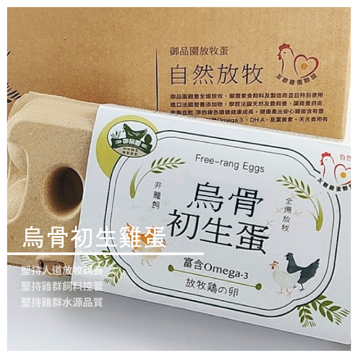 烏骨初生雞蛋 12入/8盒組 商品介紹 堅持人道放牧飼養 堅持雞群飼料控管 堅持雞群水源品質 御品園的堅持以健康為導向 針對飼料調植物性 並添加健康的亞麻籽 而使其每一顆蛋黃擁有豐富的DHA和葉黃素 