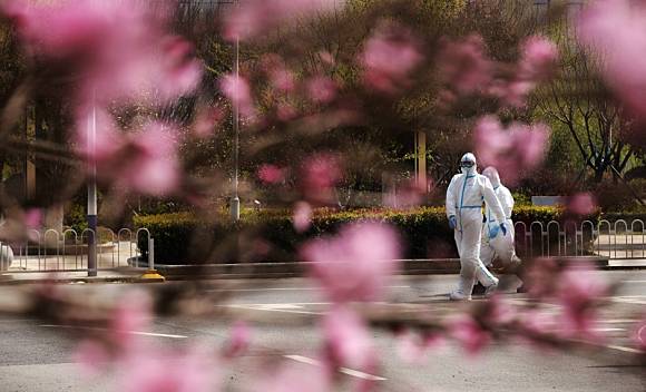 Wuhan Cherry Blossom Live Stream Launched Amid Coronavirus Lockdown