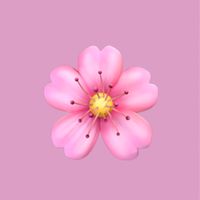 📣めざチア4/12.13応援団🌸