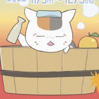 ニャンコ先生のお部屋⸜(*˙꒳˙*)⸝（夏目友人帳）