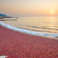 紅棗海邊