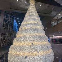 隨便代購群